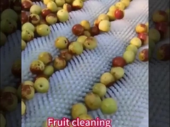 Pincel de rolos de nylon personalizado com / sem eixo para máquina industrial de descascar batatas